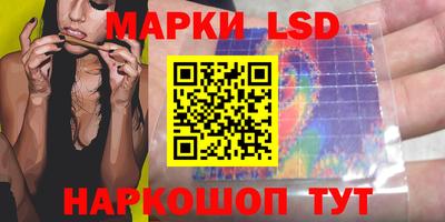 прущие грибы Будённовск