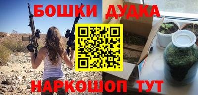 прущие грибы Будённовск