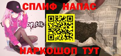прущие грибы Будённовск