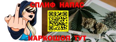 прущие грибы Будённовск