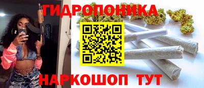 прущие грибы Будённовск
