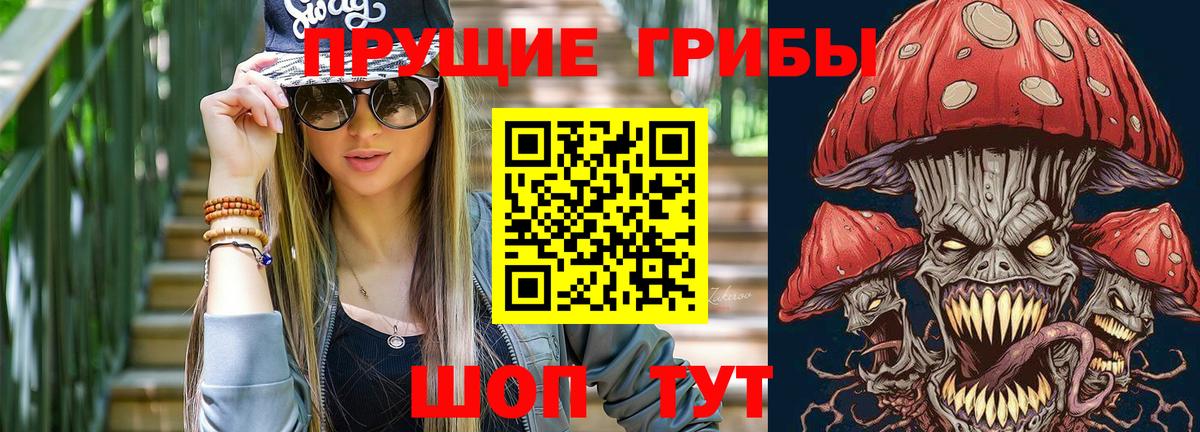 Псилоцибиновые грибы Psilocybe  Вход с VPN  Петровск  Галлюциногенные грибы MAGIC MUSHROOMS 