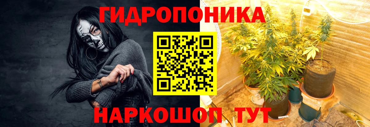 Бошки Шишки планчик  Конопля планчик  Вход с VPN  Петровск  Канабис ГИДРОПОН  Шишки марихуана планчик 